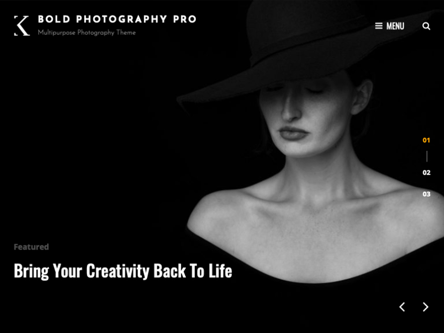 Bold Photography Pro - 10+ Premium and Free Photography WordPress Themes