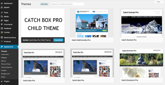 WordPress Child Theme
