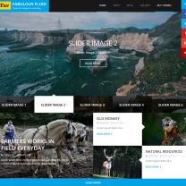 WordPress theme for Personal Websites